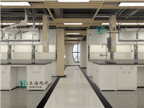 實(shí)驗(yàn)室整體裝修