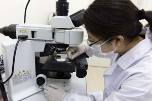 化學(xué)實驗室常用儀器的維護(hù)與清洗