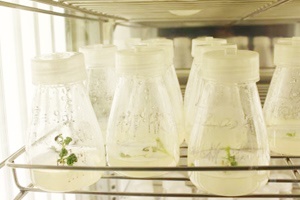 【正海新知】微生物實(shí)驗(yàn)室的布局和運(yùn)行