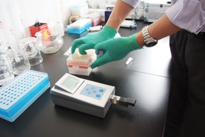 【正海新知】動物微生物實驗室設(shè)計規(guī)劃建設(shè)原則與實施方案